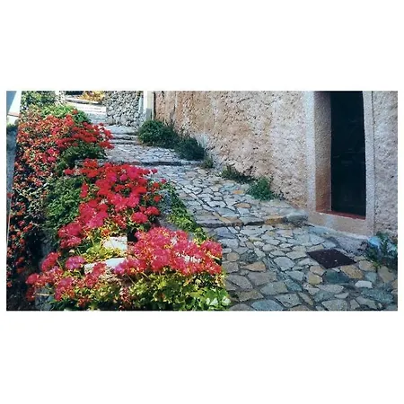 Entre Mer Et Montagne * Lama
